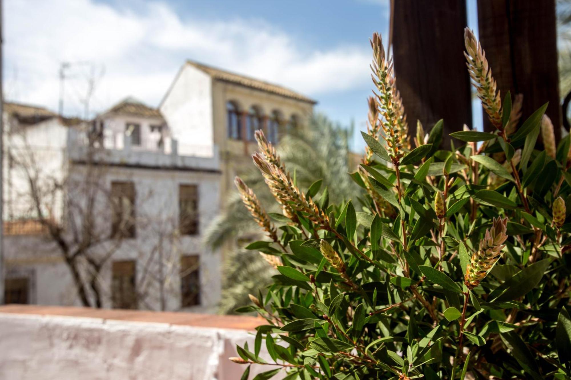 Сasa de vacaciones Munda Moon Córdoba